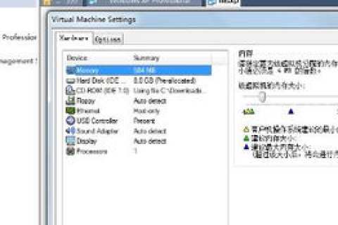 虚拟主机中99元1G和100M一百多的区别，价格、性能与适用场景分析