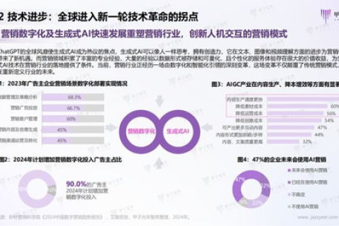 嘉洲网络体验报告，从初识到精通的全面解读