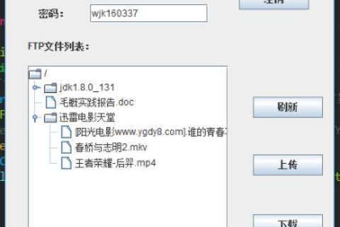 新网域名FTP上传文件及控制面板用户名使用详解