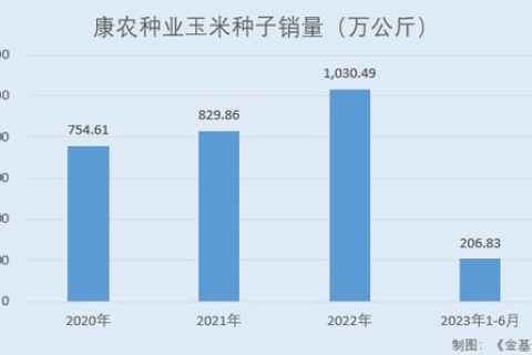 探索INFO域名在新站建设中的优势与考量