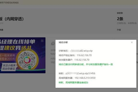 花生域名无法访问，问题解析与解决方案