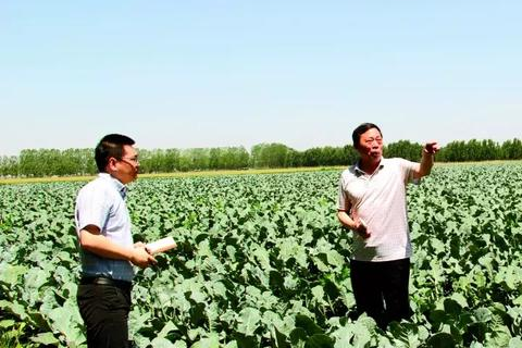 探索梦飞科技，一场科技与使用者的深度对话