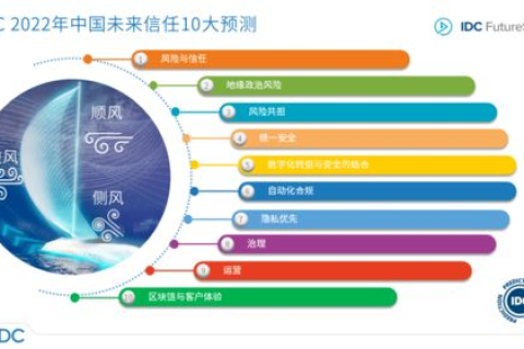 IDC品牌城实战经验分享，从第一天到成功的全过程揭秘