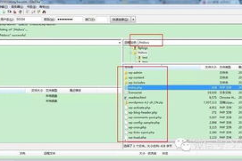 不用虚拟主机可以建网站么？探索网站建设的多元路径
