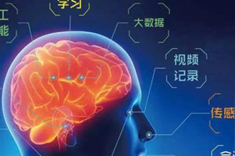 云专家，虚拟时代的智慧引擎