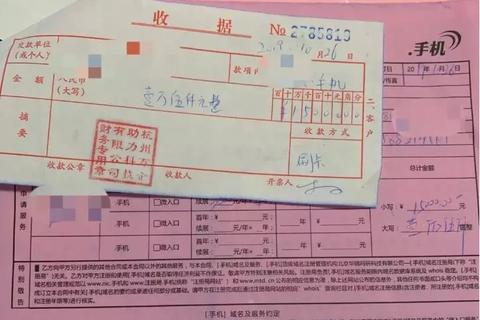 如何查询并处理域名被注册的情况
