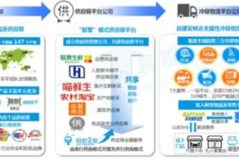 威望国际，用户真实体验与产品定位的深度解析