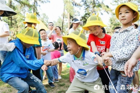 智恩特互联使用体验，探索高效办公与智能化的新境界
