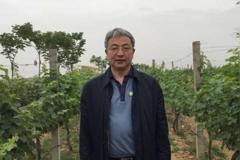 使用过蛋蛋科技的体验，一场科技创新的奇妙之旅