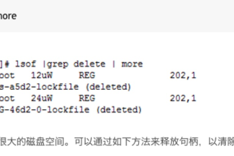 为什么阿里云虚拟主机Linux系统下默认文件删除不掉