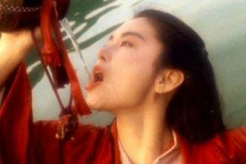 如何选择最适合的域名后缀，避免选择困难症