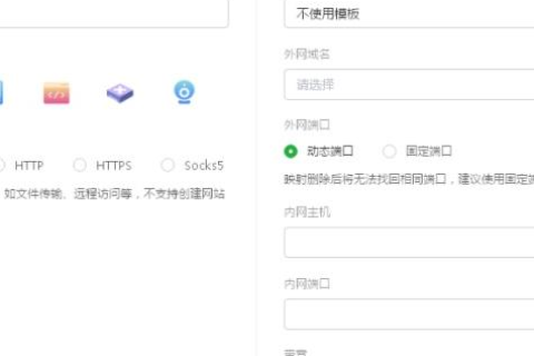 花生壳的壳域名支持动态解析吗？