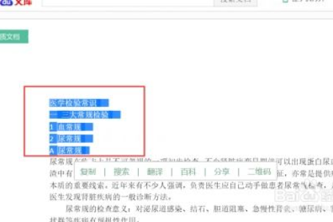 百度汉字域名为啥找不见，探索背后的原因与解决方案