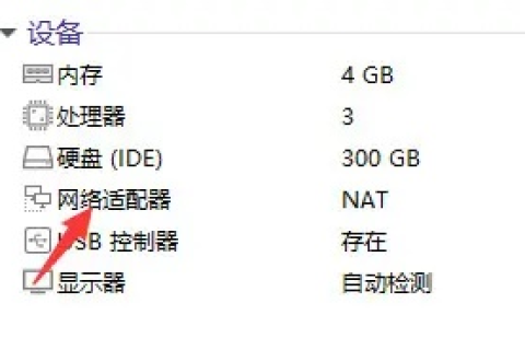 虚拟主机配置完成却无法显示网站？排查与解决指南
