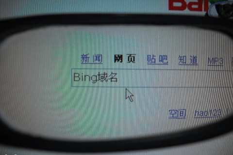 为什么搜中文域名找不到网站