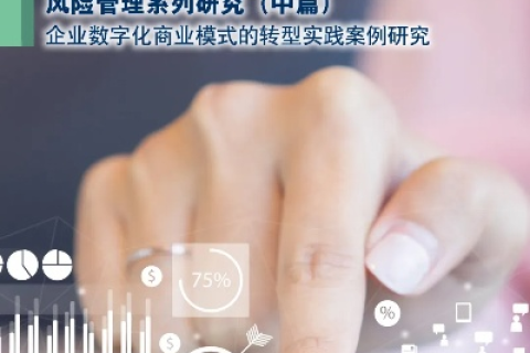 思鉴科技，创新助力企业数字化转型的实战案例探究