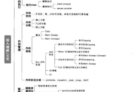 揭秘LCC网络，从理论基础到应用实践的全解析