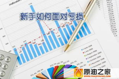 重庆域名，风起云涌，数字化时代的城市名片