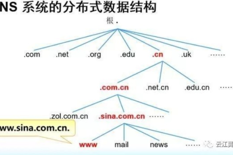 新网域名解析异常分析，原因、影响及解决方案