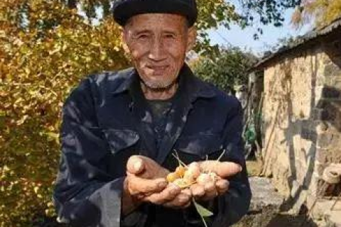 酷火互联，连接你我，共享智慧光明的数字化桥梁