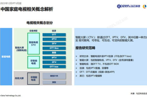 探索湖南拓枫数据，用户体验、服务特点及行业应用解析