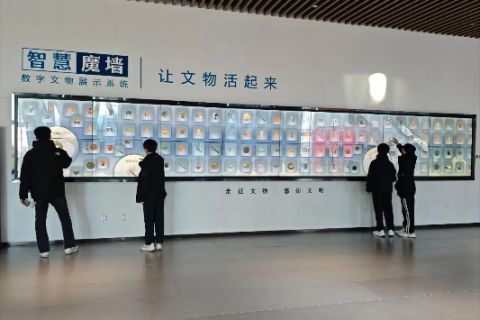 茶猫云的云端之旅，探索数字时代的文化传承与创新