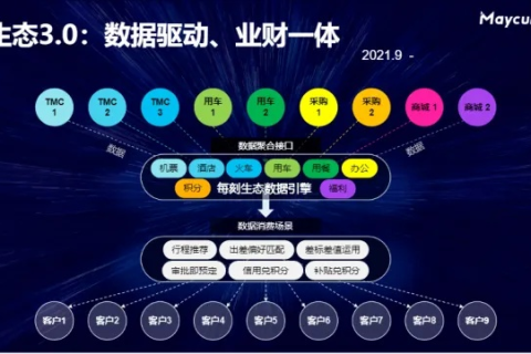 飞翔在蒙鸟云时代的新生态，数字孪生与智能鸟群管理的崛起