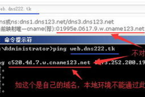 如何判断域名是否生效，全面指南