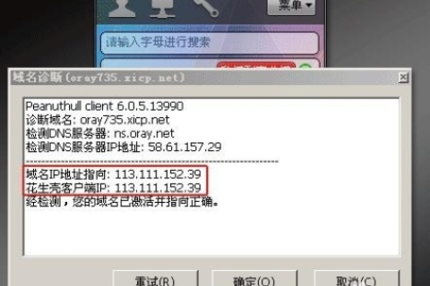 在IIS中设置花生壳域名后无法访问的解决指南