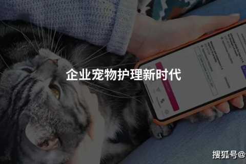 云端之猫，数字化时代的宠物健康管理新篇章