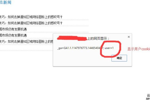 域名无法解析到IP地址但可以跳转到三级域名，解析机制与潜在原因解析