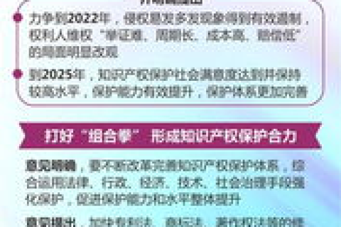域名被非法转移到国外，如何保护知识产权与权益