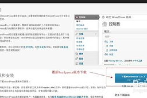 如何选择适合你的WordPress网站空间大小