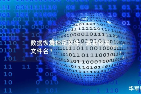 文章内容，找回遗失的域名，一场关于记忆与技术的探索之旅