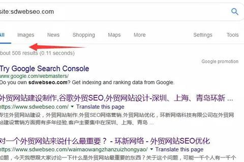 网页制作后的下一步，探索域名的奥秘与重要性
