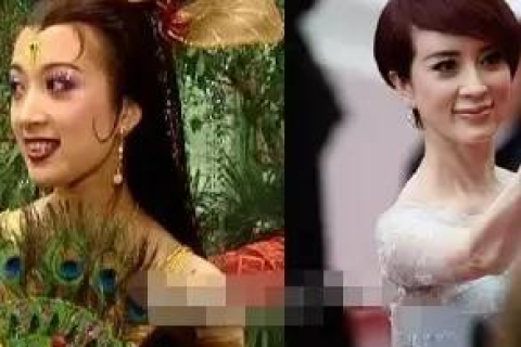 猪八戒网，打造全能服务生态，助力企业高效发展