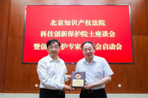 域名应做为何种知识产权加以保护