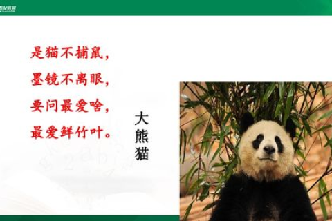 熊猫互联，以科技之名，编织保护与发展的和谐篇章