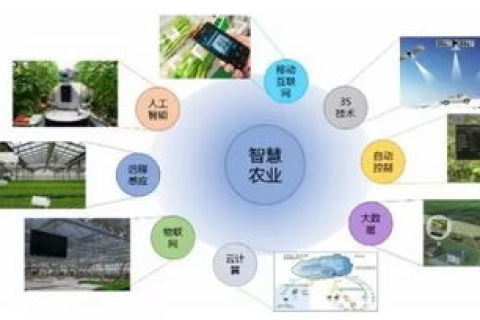 稳网互联，构建网络新生态，助力数字化发展