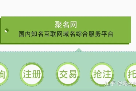 新网注册的中文域名要怎么做解析