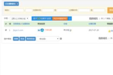 一级域名与二级域名管理差异解析