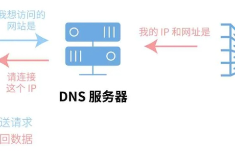 网络域名，数字时代的身份与信息的桥梁