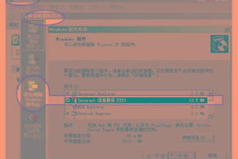 那里有一级域名申请，探索数字时代的品牌基石