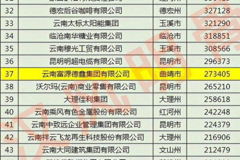 好优主机，打造企业级网络服务的强大伙伴