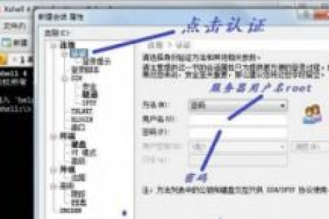BH主机反向袋里绑定域名详解