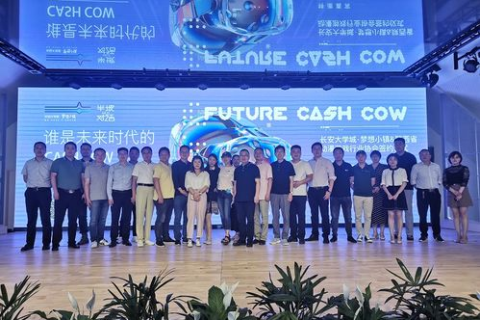 倚枫互联，探索互联网时代下的文化融合与科技创新