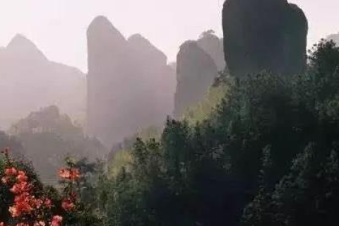 游戏界巨人，大巨人网络的崛起与未来展望