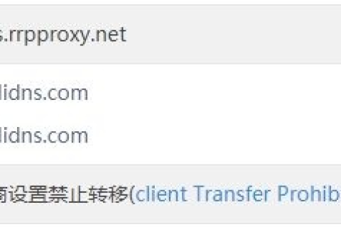 设置条件转发器，高效管理不同域名查询的利器