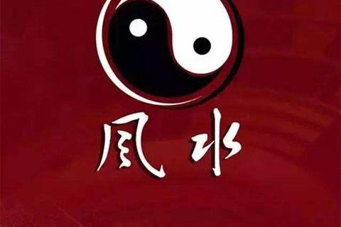 无极网络，探索无限可能的数字宇宙