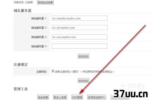 网站的域名就是网址吗？